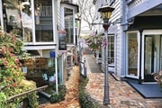 パーネルオークランド