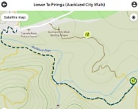Lower Te Piringa
