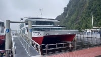 サザンディスカバリーミルフォードサウンド日帰りバスツアーネイチャークルーズ船