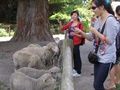 ウォルターピーク牧場