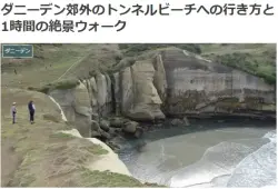 ダニーデン郊外のトンネルビーチへの行き方と1時間の絶景ウォークブログ